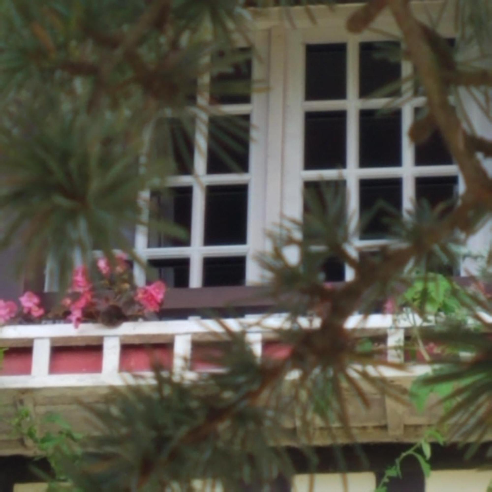 Le Vieux Pre De La Motte Apartman Villers-sur-Mer Kültér fotó